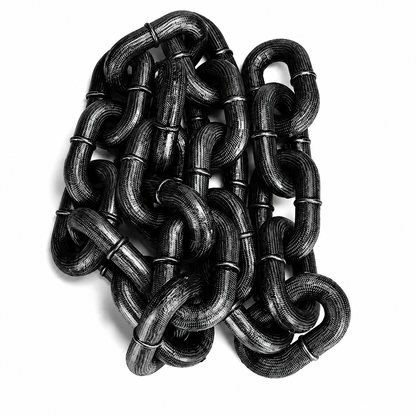 Pet Supplies Leash